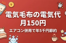 電気毛布の電気代は月150円 エアコン併用で年5千円節約