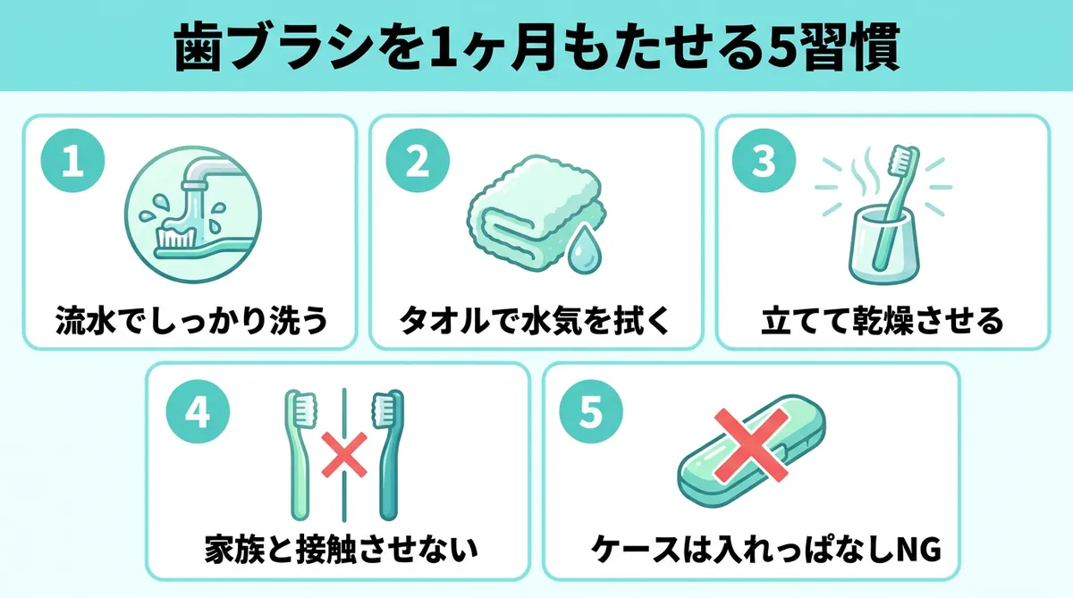 歯ブラシを1ヶ月もたせる5習慣 流水でしっかり洗う・水気をタオルで拭き取る・風通しの良い場所に立てて保管・家族のブラシと接触させない・ケースに入れっぱなしにしないイラスト
