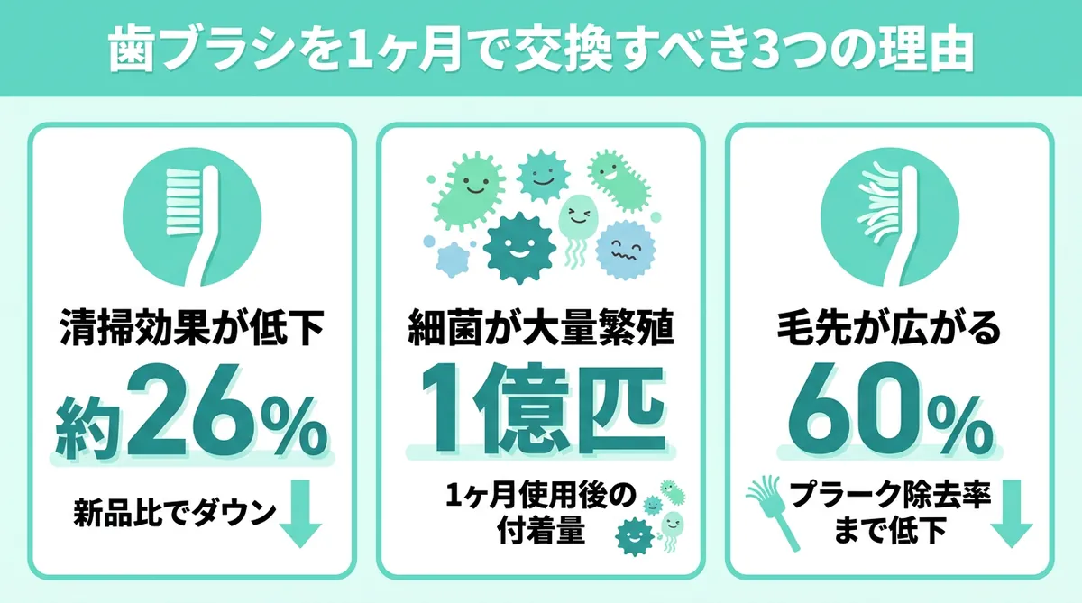 歯ブラシを1ヶ月で交換すべき3つの理由 清掃効果が約26%低下・毛先には1億匹の細菌が付着・毛先の広がりでプラーク除去率が60%まで低下するインフォグラフィック