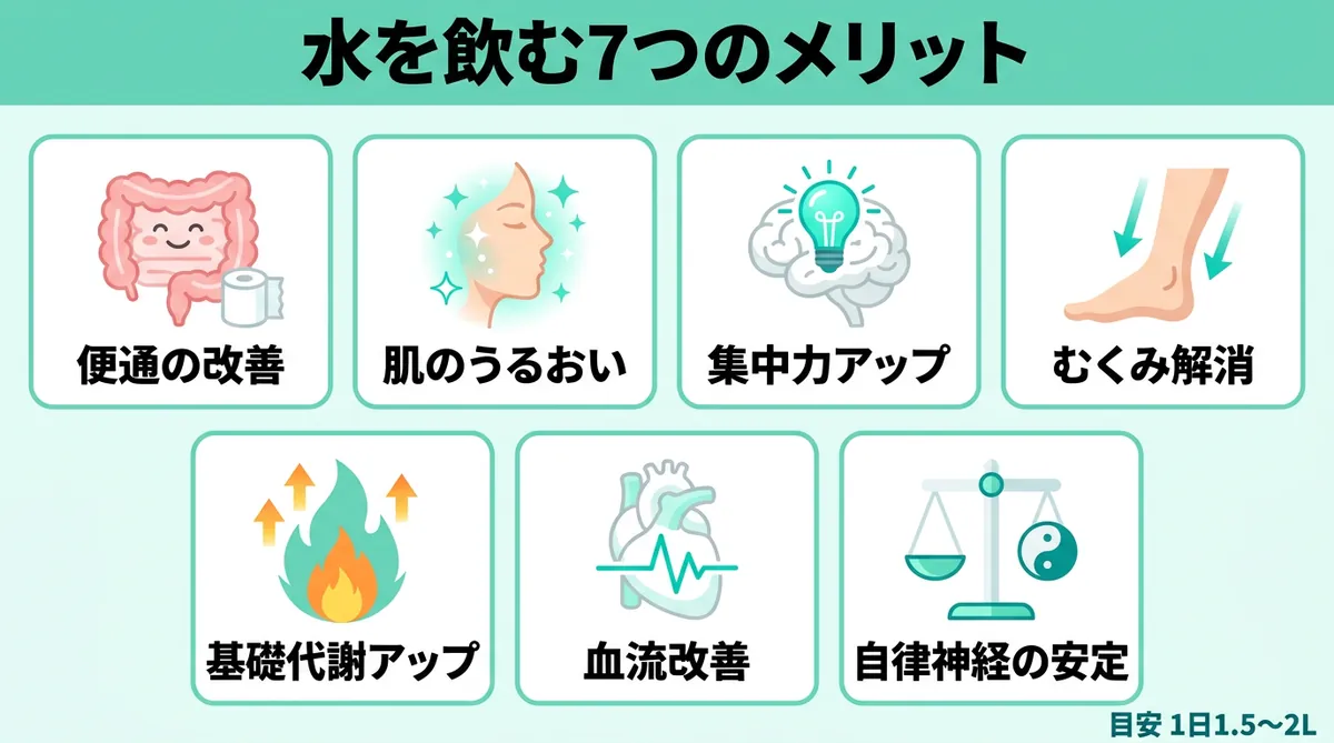 水を飲む7つのメリット 便通改善・肌のうるおい・集中力アップ・むくみ解消・基礎代謝アップ・血流改善・自律神経安定 1日1.5Lで暮らしの土台が整うインフォグラフィック